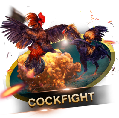 COCK FIGHT